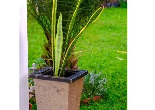 Cache Pot a Effet lumineux
